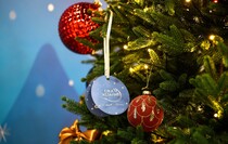 Фото: Луганский Информационный Центр/Анастасия Стеценко