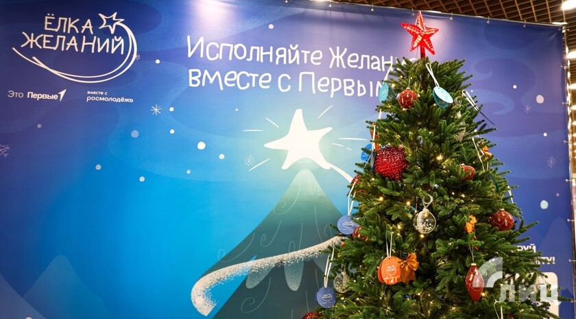 Фото: Луганский Информационный Центр/Анастасия Стеценко