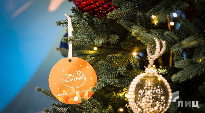 Фото: Луганский Информационный Центр/Анастасия Стеценко