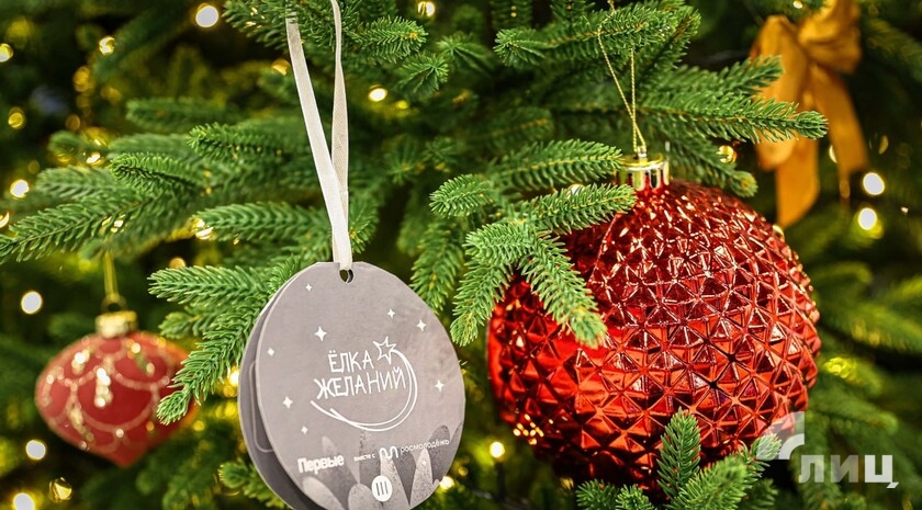 Фото: Луганский Информационный Центр/Анастасия Стеценко