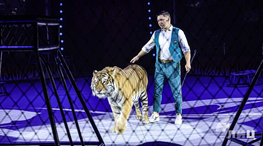 Фото: Луганский Информационный Центр/Анастасия Стеценко