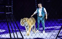 Фото: Луганский Информационный Центр/Анастасия Стеценко