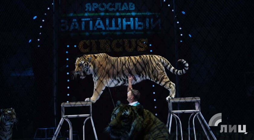 Фото: Луганский Информационный Центр/Анастасия Стеценко