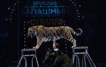 Фото: Луганский Информационный Центр/Анастасия Стеценко