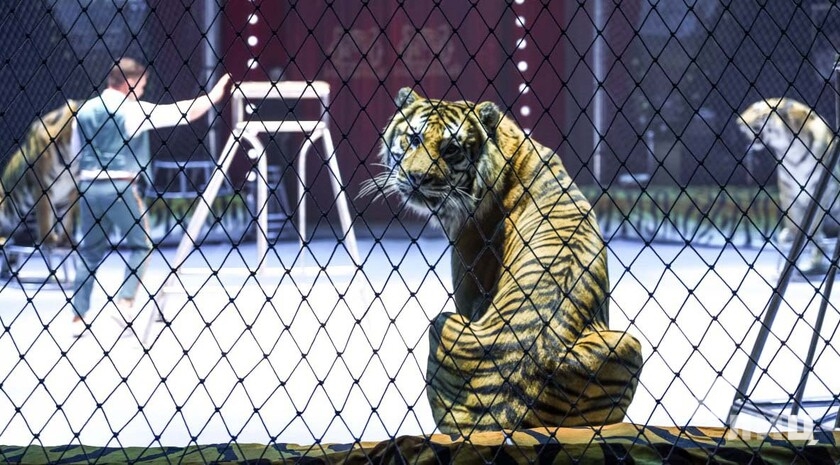 Фото: Луганский Информационный Центр/Анастасия Стеценко