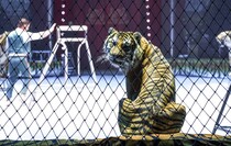 Фото: Луганский Информационный Центр/Анастасия Стеценко