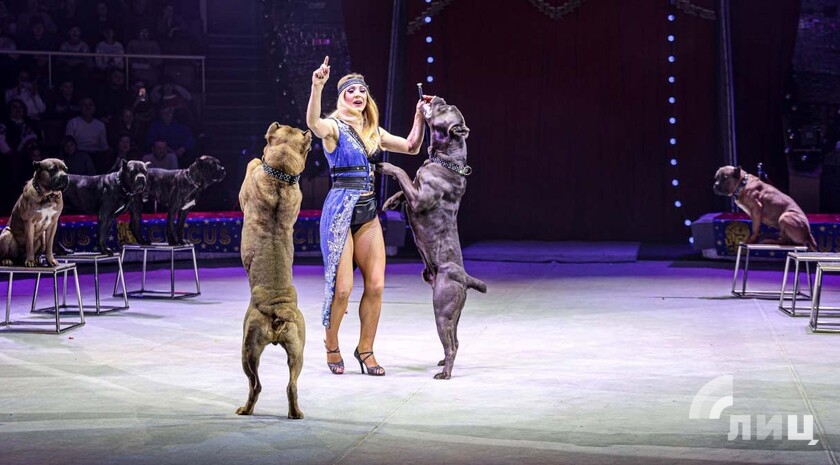 Фото: Луганский Информационный Центр/Анастасия Стеценко