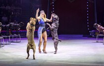 Фото: Луганский Информационный Центр/Анастасия Стеценко