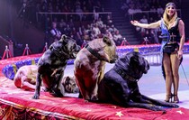 Фото: Луганский Информационный Центр/Анастасия Стеценко