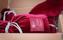 Фото: Луганский Информационный Центр/Анастасия Стеценко