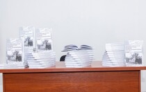 Фото: Луганский Информационный Центр/Дарья Чмирова