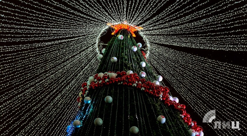 Фото: Луганский Информационный Центр/Чмирова Дарья