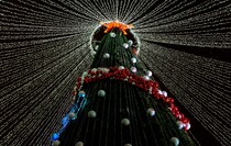 Фото: Луганский Информационный Центр/Чмирова Дарья