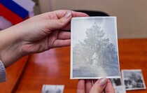 Фото: Луганский Информационный Центр/Чмирова Дарья