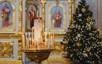 Фото: Луганский Информационный Центр/Анастасия Стеценко