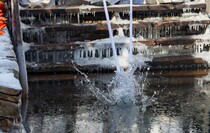 Фото: Луганский Информационный Центр/Дарья Чмирова