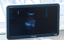 Фото: Луганский Информационный Центр/Дарья Чмирова