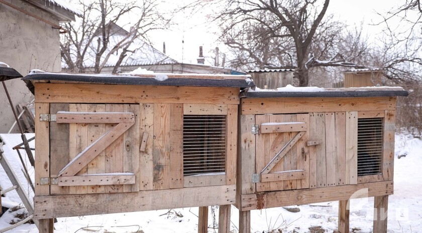 Фото: Луганский Информационный Центр/Анастасия Стеценко