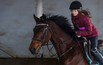 Фото: Луганский Информационный Центр