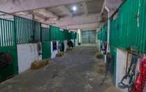 Фото: Луганский Информационный Центр