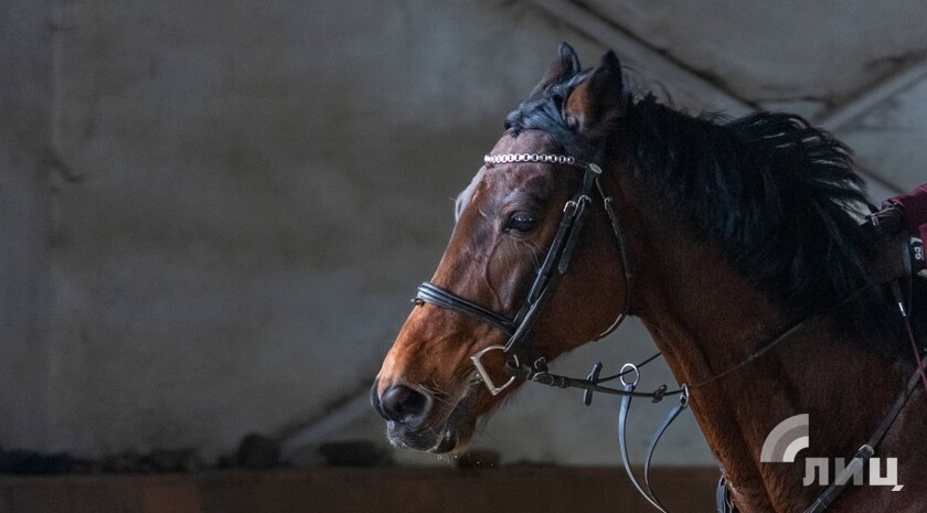 Фото: Луганский Информационный Центр