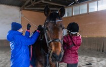 Фото: Луганский Информационный Центр