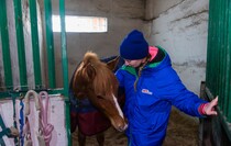 Фото: Луганский Информационный Центр