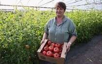 Фото: пресс-служба сельскохозяйственного кооператива «Овощи станичников»