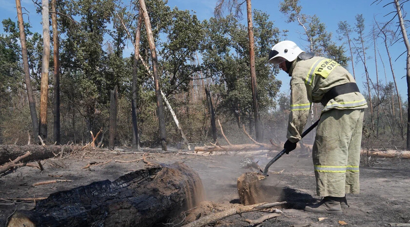 Фото: Пресс-служба Луганского РО ВСКС
