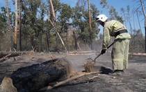 Фото: Пресс-служба Луганского РО ВСКС
