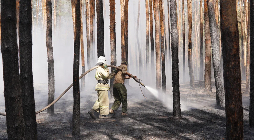 Фото: Пресс-служба Луганского РО ВСКС