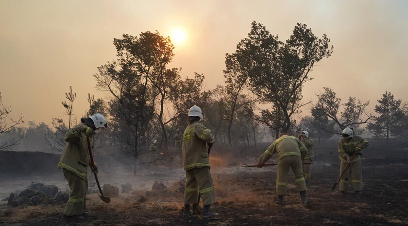 Фото: Пресс-служба Луганского РО ВСКС