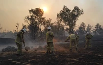 Фото: Пресс-служба Луганского РО ВСКС