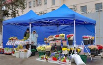 Фото: Луганский Информационный Центр/Анастасия Стеценко