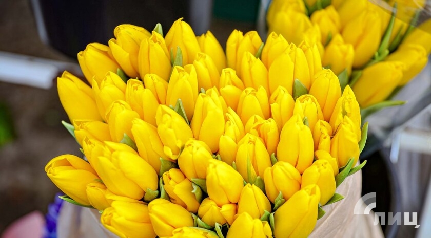 Фото: Луганский Информационный Центр/Анастасия Стеценко