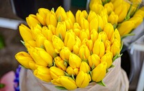 Фото: Луганский Информационный Центр/Анастасия Стеценко