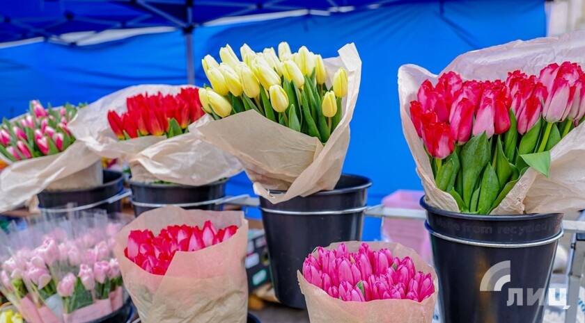 Фото: Луганский Информационный Центр/Анастасия Стеценко