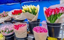 Фото: Луганский Информационный Центр/Анастасия Стеценко