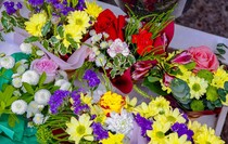 Фото: Луганский Информационный Центр/Анастасия Стеценко