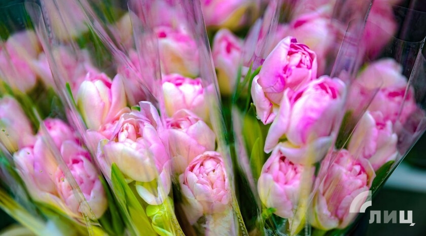 Фото: Луганский Информационный Центр/Анастасия Стеценко