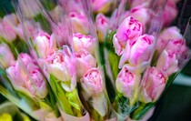 Фото: Луганский Информационный Центр/Анастасия Стеценко