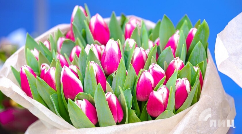 Фото: Луганский Информационный Центр/Анастасия Стеценко