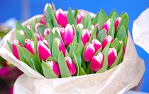 Фото: Луганский Информационный Центр/Анастасия Стеценко