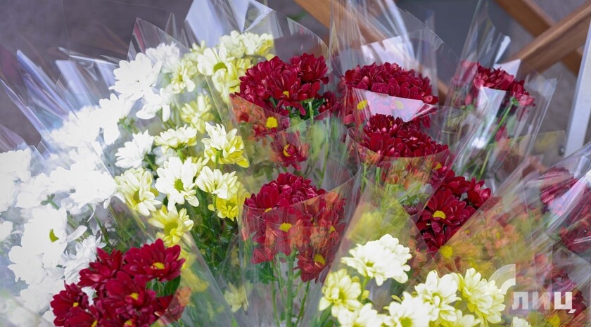 Фото: Луганский Информационный Центр/Анастасия Стеценко