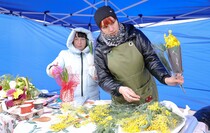 Фото: Луганский Информационный Центр/Анастасия Стеценко