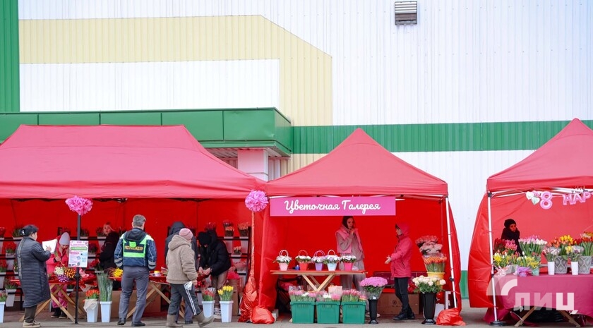 Фото: Луганский Информационный Центр/Анастасия Стеценко