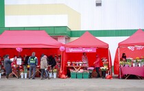 Фото: Луганский Информационный Центр/Анастасия Стеценко