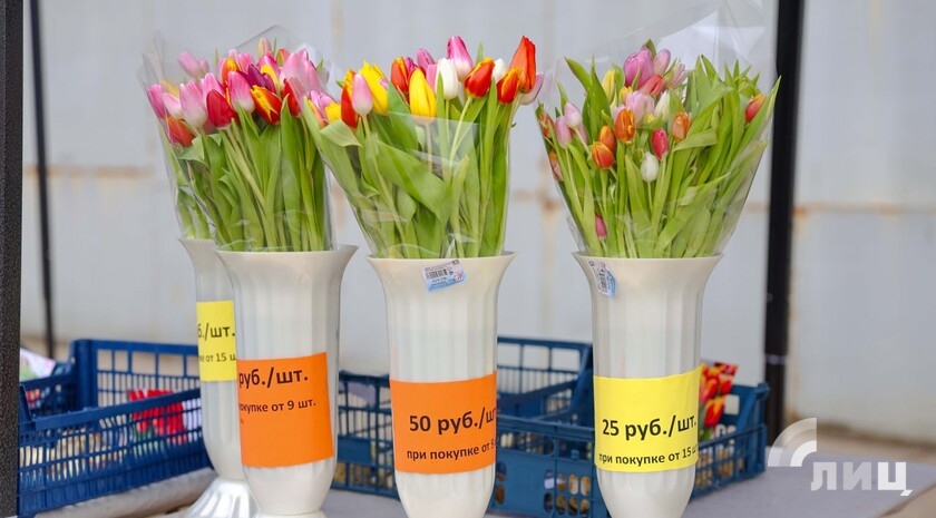 Фото: Луганский Информационный Центр/Анастасия Стеценко