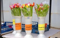 Фото: Луганский Информационный Центр/Анастасия Стеценко