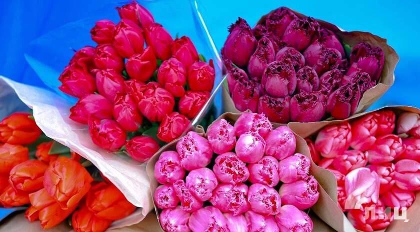 Фото: Луганский Информационный Центр/Анастасия Стеценко